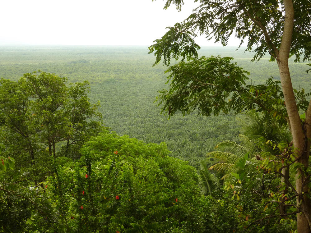 Wildschutz- und Feuchtgebiet Bocas del Polochic in Guatemala  © OroVerde – Die Tropenwaldstiftung