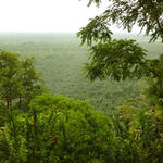 Wildschutz- und Feuchtgebiet Bocas del Polochic in Guatemala  © OroVerde - Die Tropenwaldstiftung